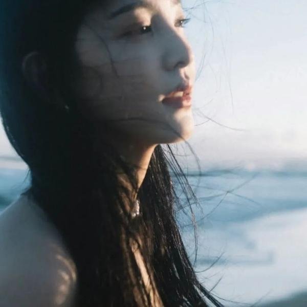 少林与咏春粤语
